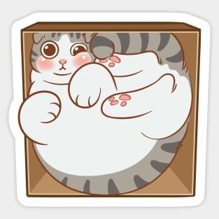 Tabby cat in the box Sticker